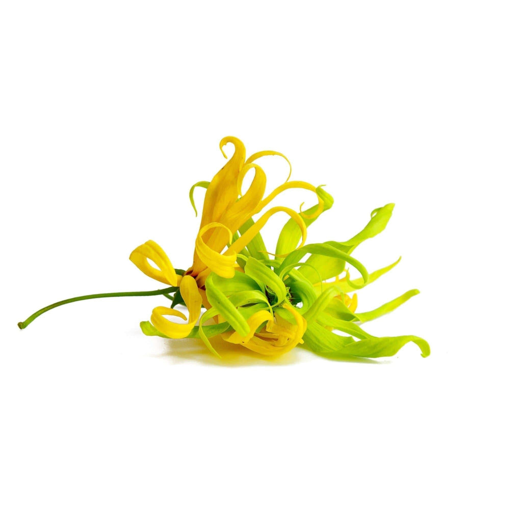 Déodorant Ylang-Ylang-2