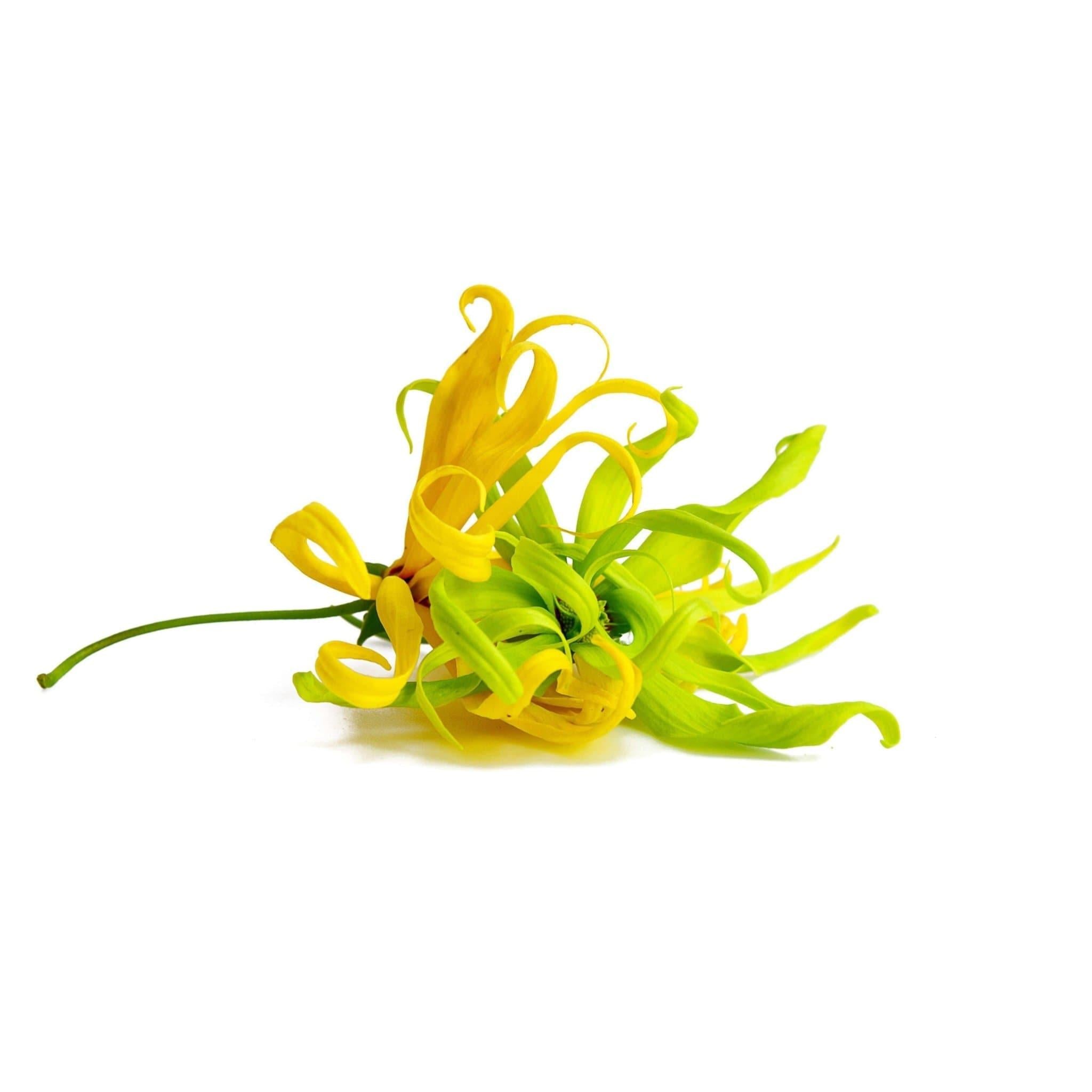 Déodorant Ylang-Ylang-2